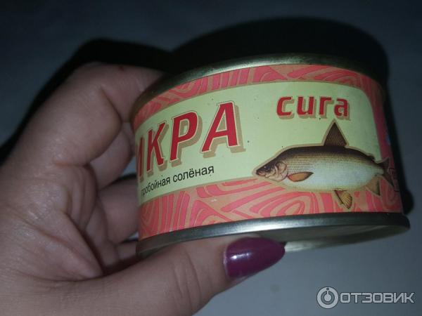 Икра Сига Купить