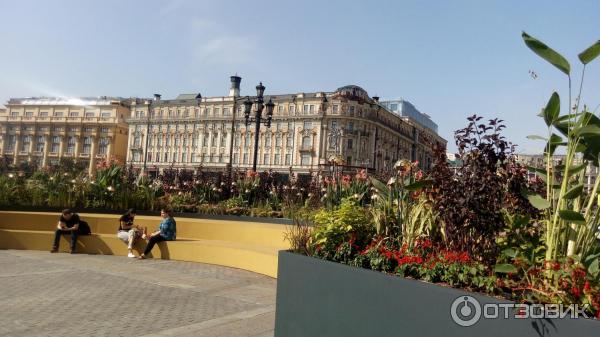 Фестиваль Цветочный джем (Россия, Москва) фото