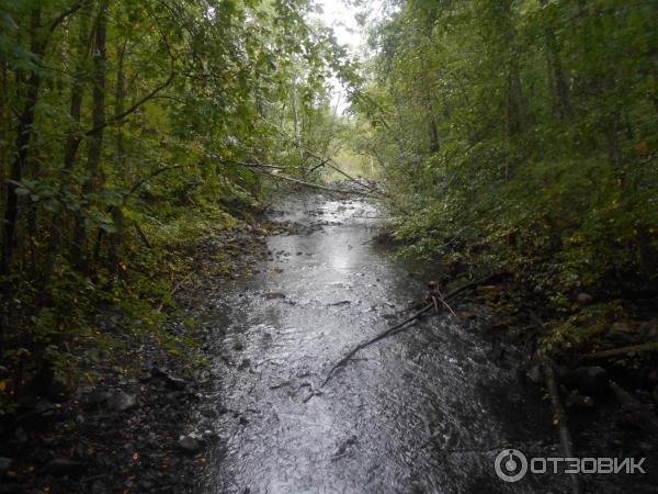 Экскурсия Карельское ожерелье (Россия, Карелия) фото