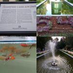 Ботанический сад МГУ (Аптекарский огород) (Россия, Москва) фото