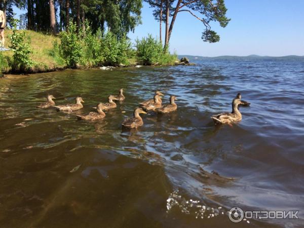 Коттедж Шале с камином Lake Forest (Россия, Свердловская область) фото