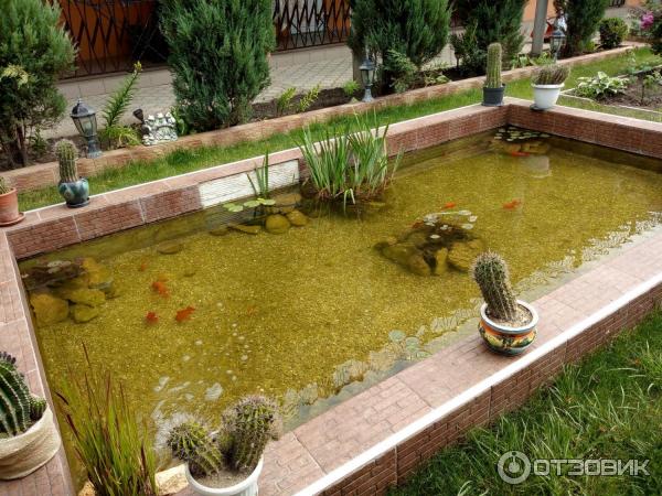 Гостевой дом Ля флер (Межводное, Крым) фото