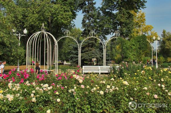 Цифровой зеркальный фотоаппарат Canon EOS 1300D Kit EF-S 18-55 IS II