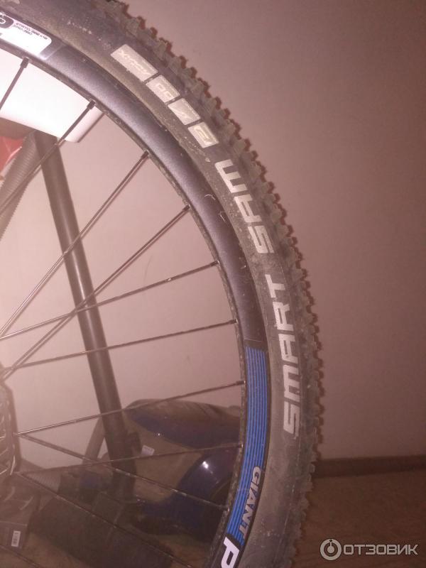 Schwalbe Smart Sam