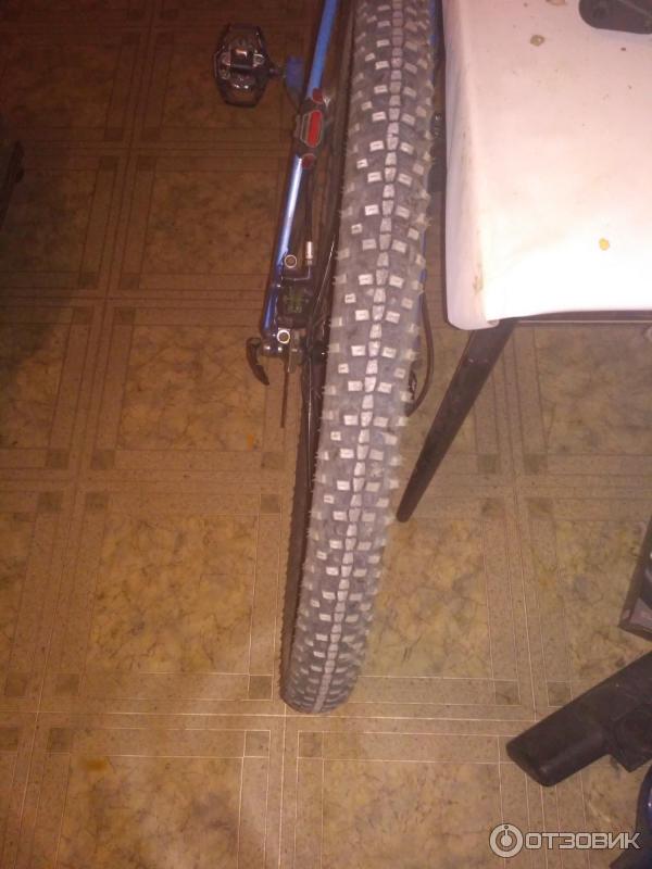 Schwalbe Smart Sam