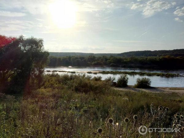 Знакомства в Алексине