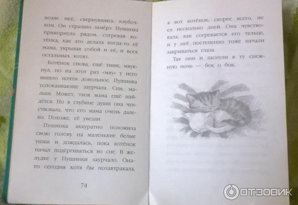 Книга Котенок Снежинка, или Зимнее волшебство - Холли Вебб фото