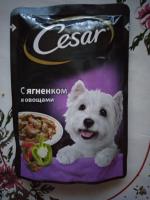 Корм для собак Cesar фото