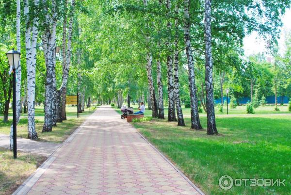 Санаторий Зеленая Роща (Россия, Уфа) фото