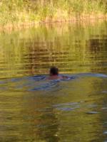 Голубое озеро (Россия, Воскресенск) фото