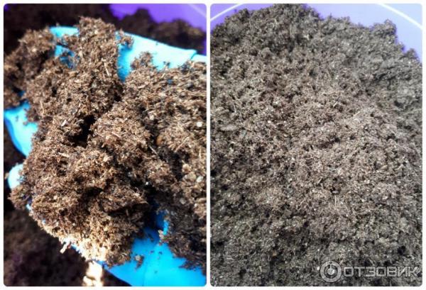 Грунт 3 д. Грунт владивосток. Грунт 3 д. Грунт 3 д. Текстура земли в разрезе.