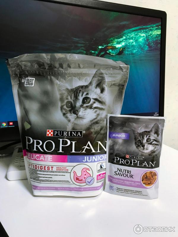 Влажный и сухой корм ProPlan из коробочки для теста