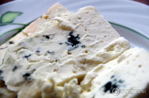 Сыр с голубой плесенью Cheese Terra del Gusto Gorgonzola