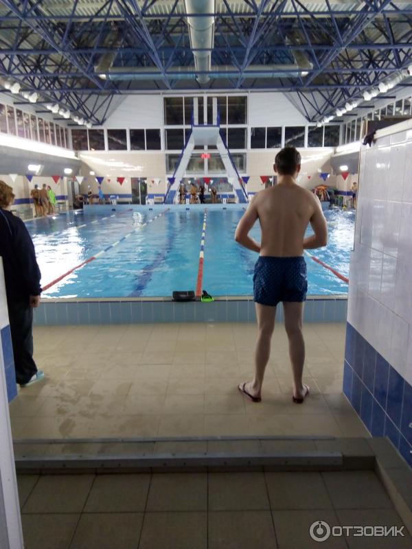 Бассейн на королева сдюшор. Сдюшор калининского р-на на королева бассейн ушинского. Спорткомплекс комета санкт-петербург. Бассейн на королева сдюшор. Жлобин бассейн.