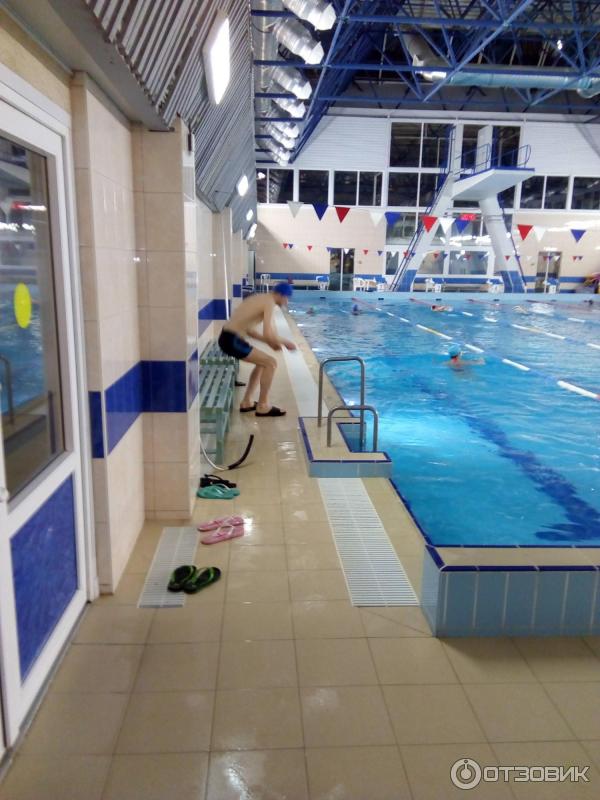 Жлобин бассейн. Сдюшор приморского р-на на королева бассейн. Бассейн на королева сдюшор. Бассейн сдюсшор. Мусц бассейн спб.