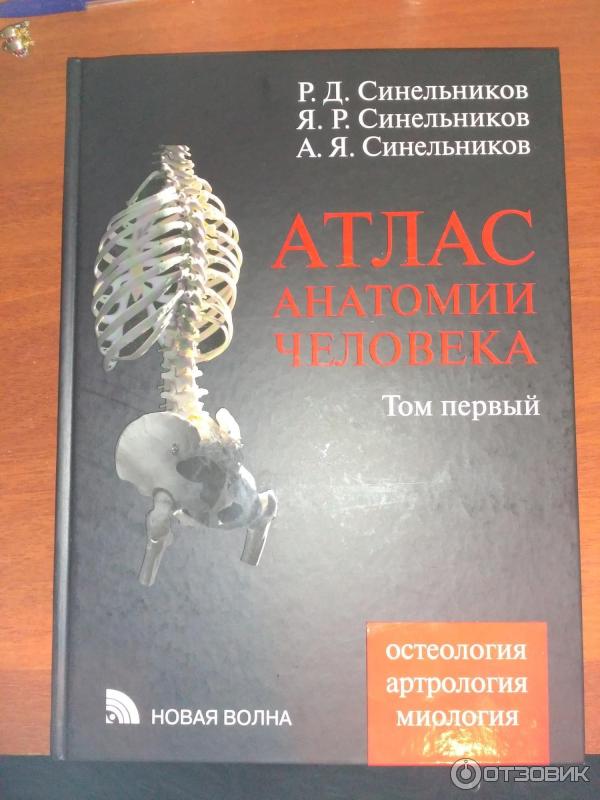 Учебник синельникова по анатомии. Атлас анатомии человека Синельников 1989. Атлас анатомии Синельников. Синельников анатомия. Синельников атлас Остеология.