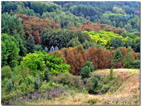 Красные каменные грибы-гиганты (Россия, Кисловодск) фото