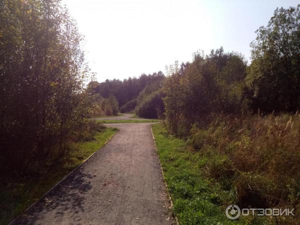 Природно-исторический парк Косинский (Россия, Москва) фото