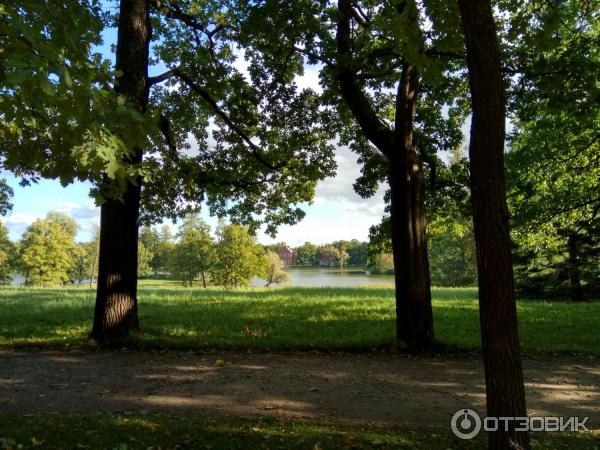 Екатерининский парк в городе Пушкин (Россия, Санкт-Петербург) фото