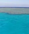 Всезнайка77