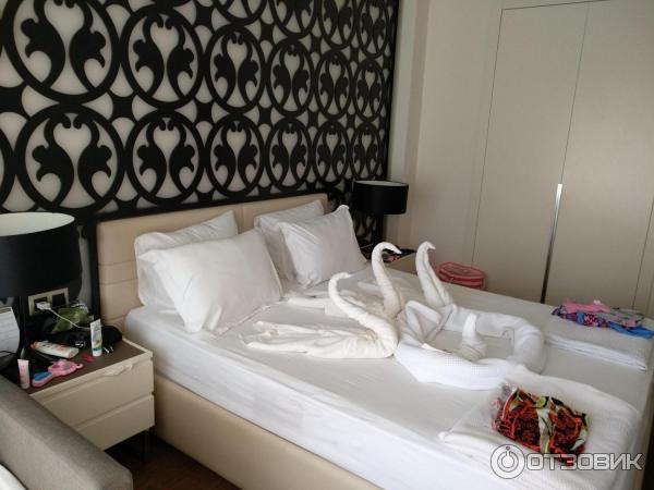 Отель Aurum Didyma Spa & Beach Resort 5* фото