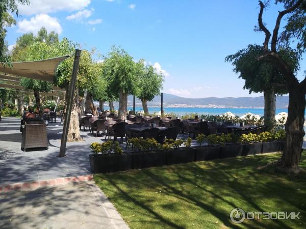 Отель Aurum Didyma Spa & Beach Resort 5* фото