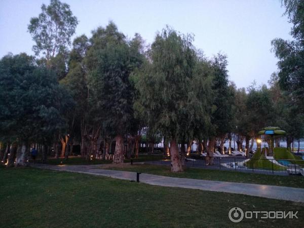 Отель Aurum Didyma Spa & Beach Resort 5* фото