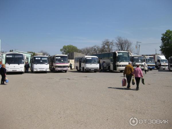 Автобус саки город