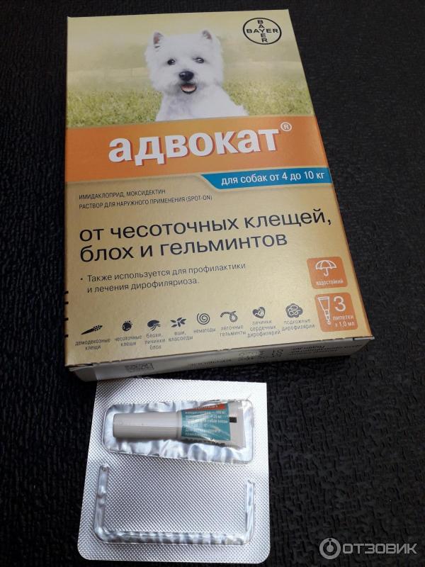 Отзыв о Капли на холку для собак Bayer "Адвокат" | Капли на холку от ...