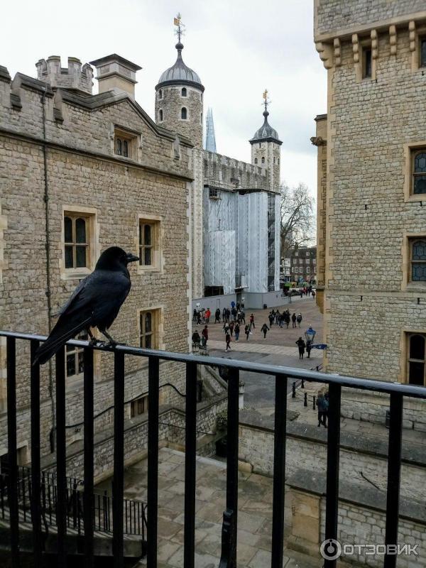 The tower of london was a prison. Колокольная башня Тауэра.