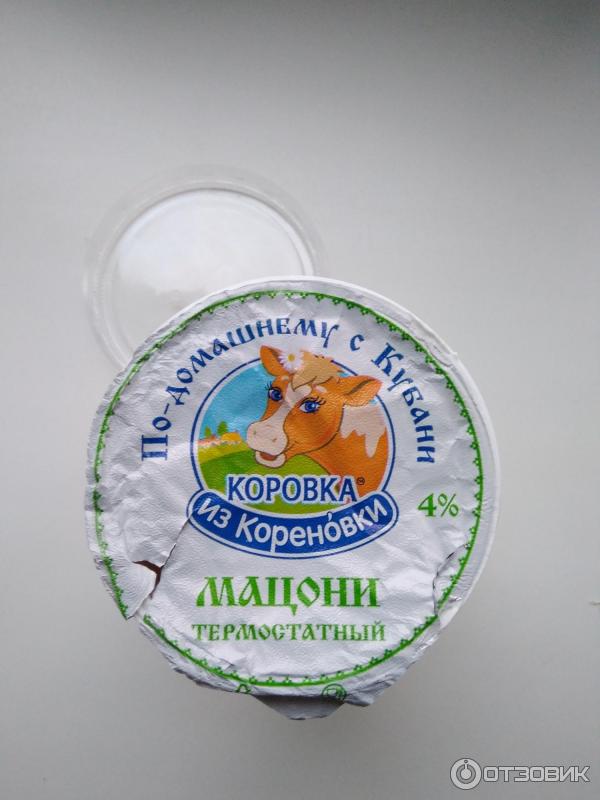 Мацони Коровка из Кореновки фото