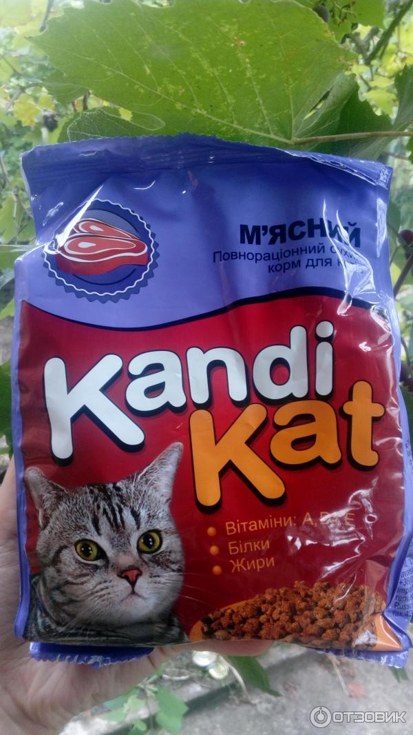 Candy Cat корм для кошек.