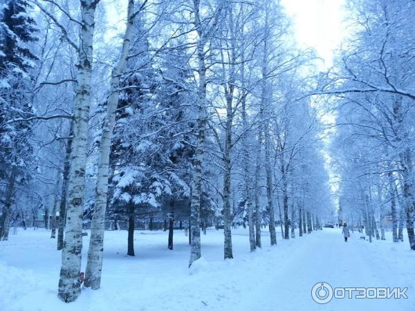 Город Северодвинск (Россия, Архангельская область) фото