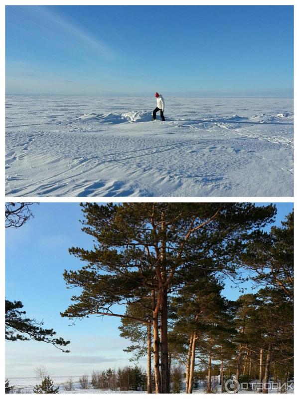 Город Северодвинск (Россия, Архангельская область) фото