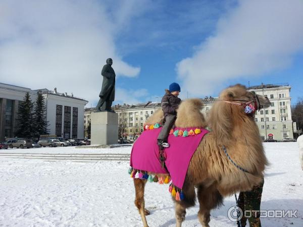 Город Северодвинск (Россия, Архангельская область) фото