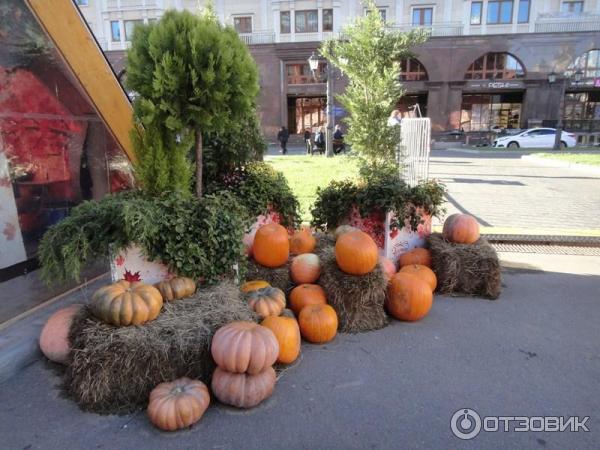 Осенний гастрономический фестиваль Золотая осень (Россия, Москва) фото