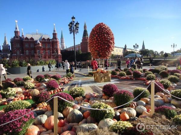 Осенний гастрономический фестиваль Золотая осень (Россия, Москва) фото