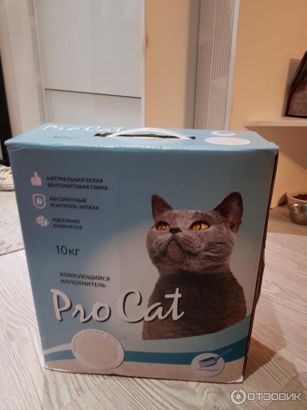 Pro Cat Наполнитель Купить