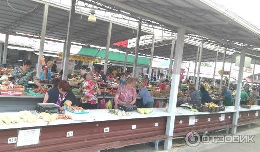 Терлецкий рынок в темрюке. Фото косаревых темрюк терлецкого. Фото терлецкий рынок темрюк. Темрюк терлецкий рынок. Темрюк терлецкий рынок.