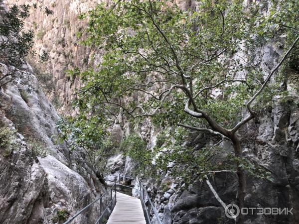 Экскурсия Каньон Сападере (Турция, Алания) фото