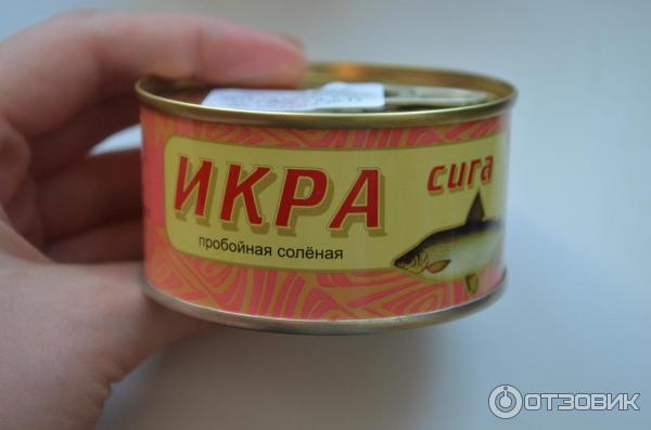 Икра Сига Купить