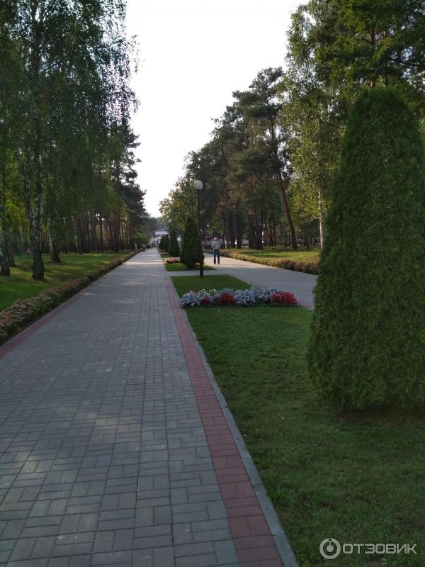 Санаторий Алеся (Беларусь, Брестская область) фото