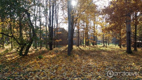 Отдых в г. Великий Новгород (Россия) фото