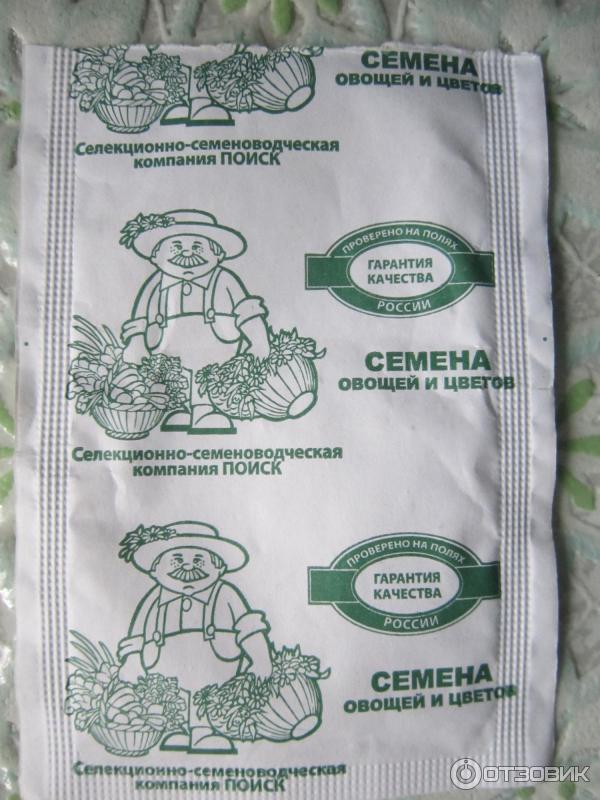 Семена свеклы столовой Поиск Мулатка фото