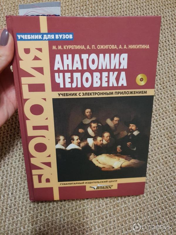 Анатомия пособие для вузов. Курепина анатомия человека. Анатомия учебник.