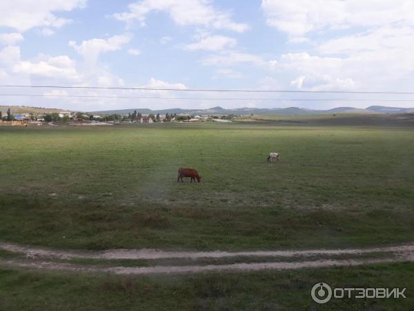 Отель Бахитгуль (Россия, Бахчисарай) фото