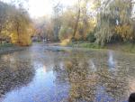 Ботанический сад МГУ (Аптекарский огород) (Россия, Москва) фото