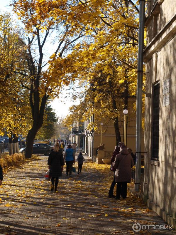 Город Гатчина (Россия, Ленинградская область) фото