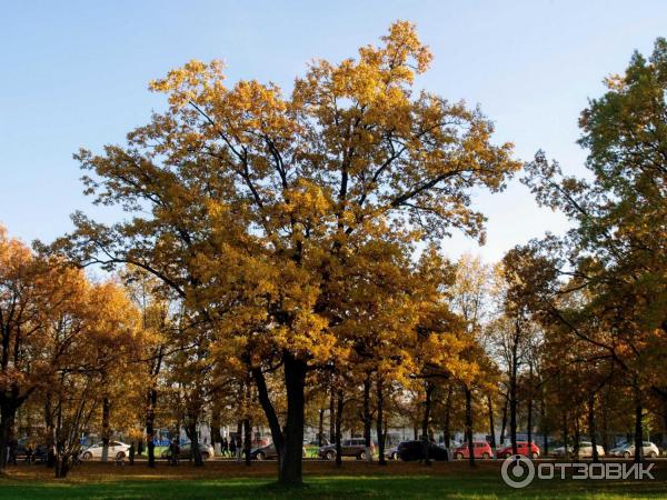 Город Гатчина (Россия, Ленинградская область) фото