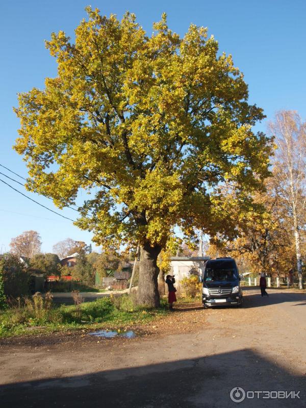 Город Гатчина (Россия, Ленинградская область) фото